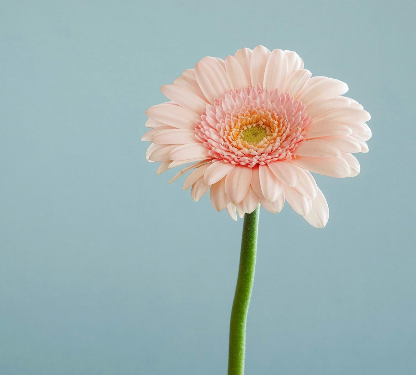 Counselling Training